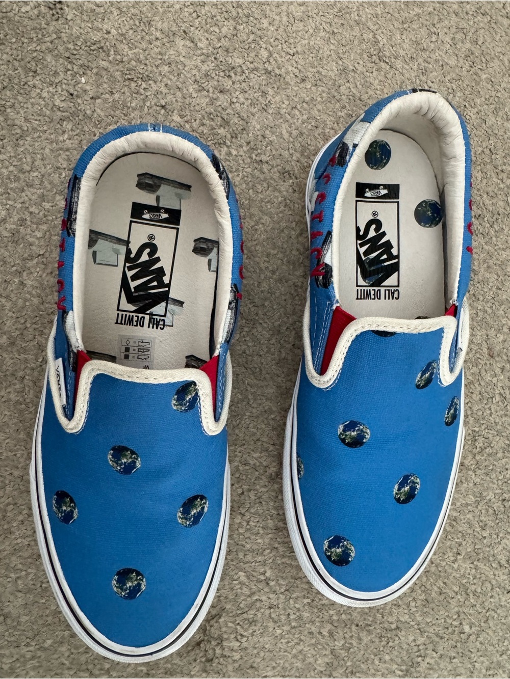 Vans Classic Slip-On Earth Dot Blue Skate Shoes